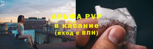 крисы Алексин