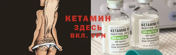 крисы Алексин