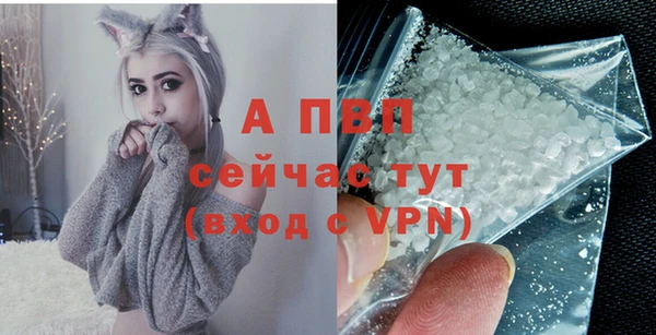 крисы Алексин