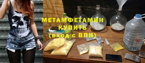крисы Алексин
