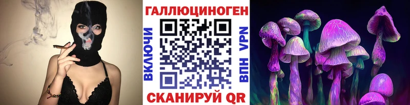 Галлюциногенные грибы Cubensis  цены   Динская 