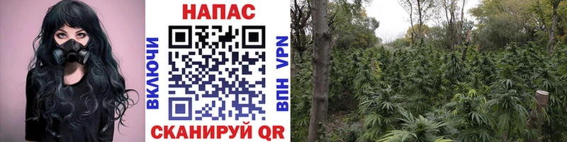 Конопля THC 21% закладка Динская